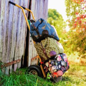 IMG_20191013_093351_652